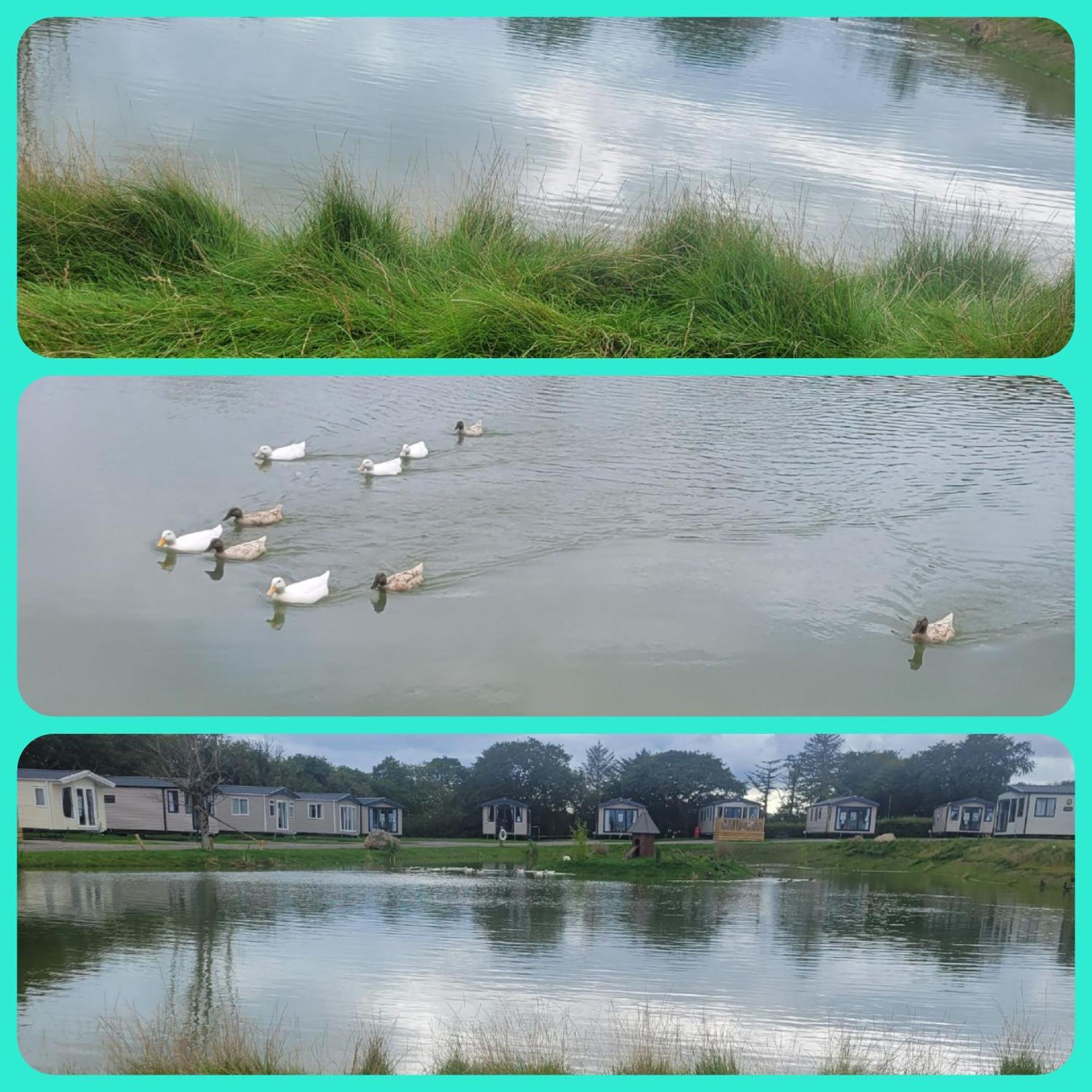 Beautiful 2 Bedroom Caravan, Holiday Park Tenby Saint Florence Exteriér fotografie