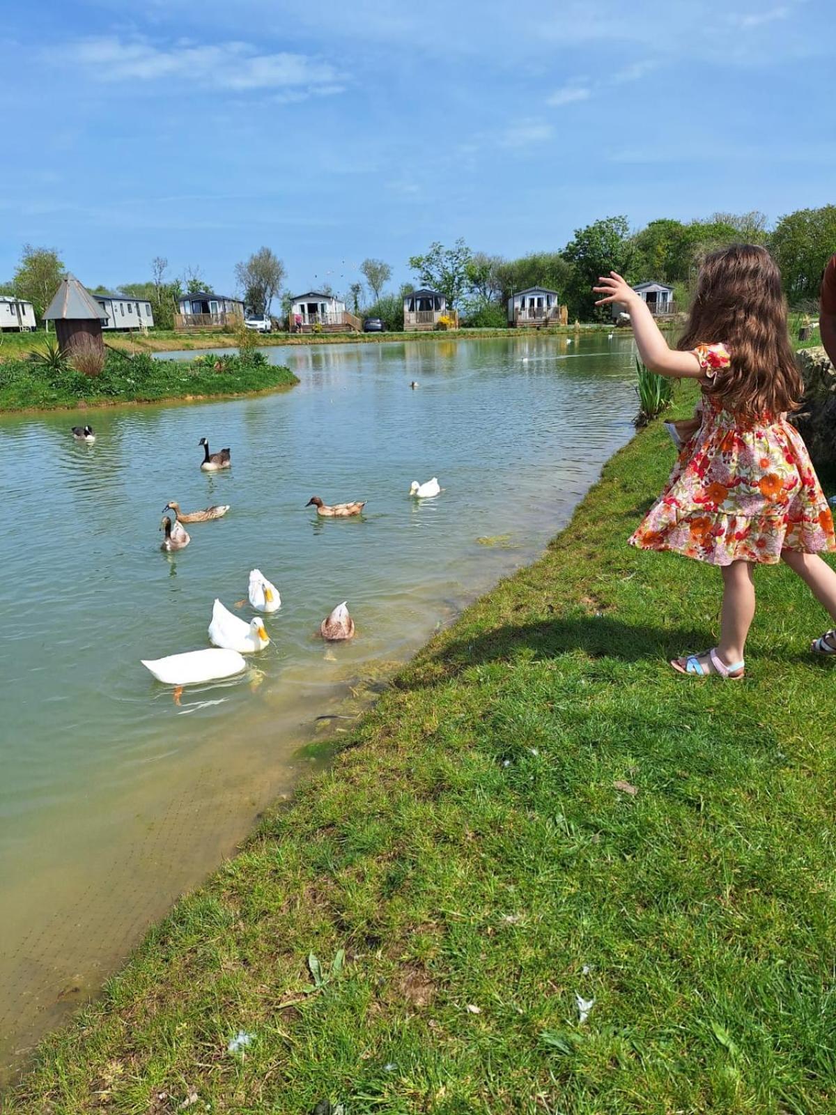 Beautiful 2 Bedroom Caravan, Holiday Park Tenby Saint Florence Exteriér fotografie